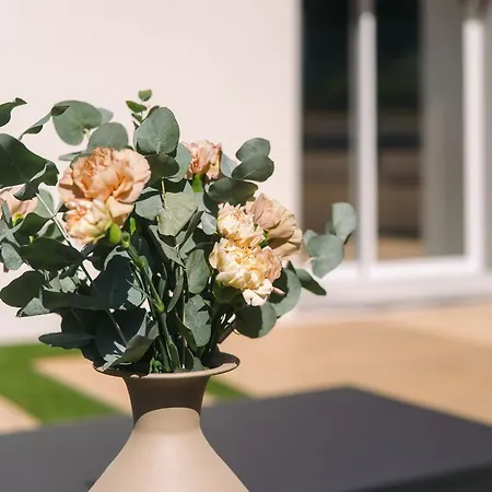 Apartment Ambre, Avec Jardin Privatif Saint-Yorre